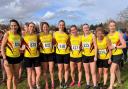 Worcester Worcester Athletic Club women's cross country team have been promoted