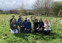 Volunteers and a group of young people plant the first Miyawaki forest in Perdiswell
