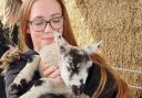 Sophie Enright, 14, from Birmingham, visited Gannow Farm on April 3 and less than a week later fell ill.