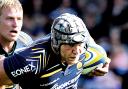 ROAD TO RECOVERY: Lock James Percival is nearing full fitness for Worcester Warriors.
