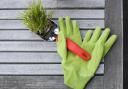 Lend a hand with Arboretum community gardening