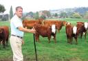 CATTLE: David Harper with Top Barn’s beef herd home-reared using traditional methods on the meadows of the river Severn.