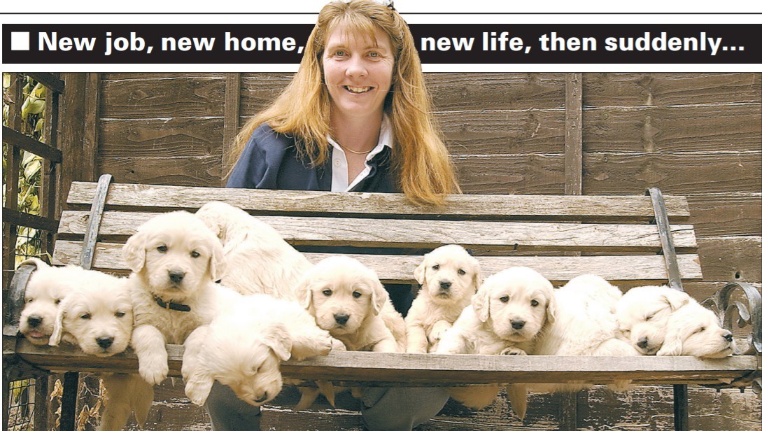 Nicky Lane and her 11 puppies featured in the Worcester News in September 2003 