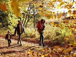 Seven of the best woodland walks in Worcestershire