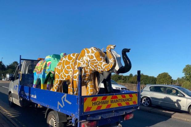 FAREWELL: The elephants on their way to their final public appearance