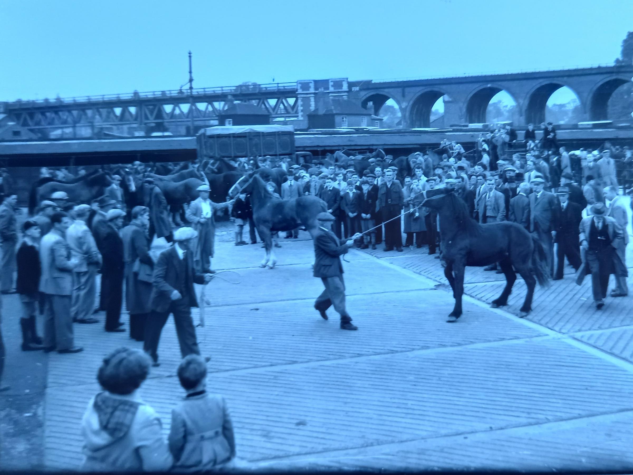 Sale of horses at Worcester Cattle Market in 1953 during the Hop, Cheese and Sheep Fair
