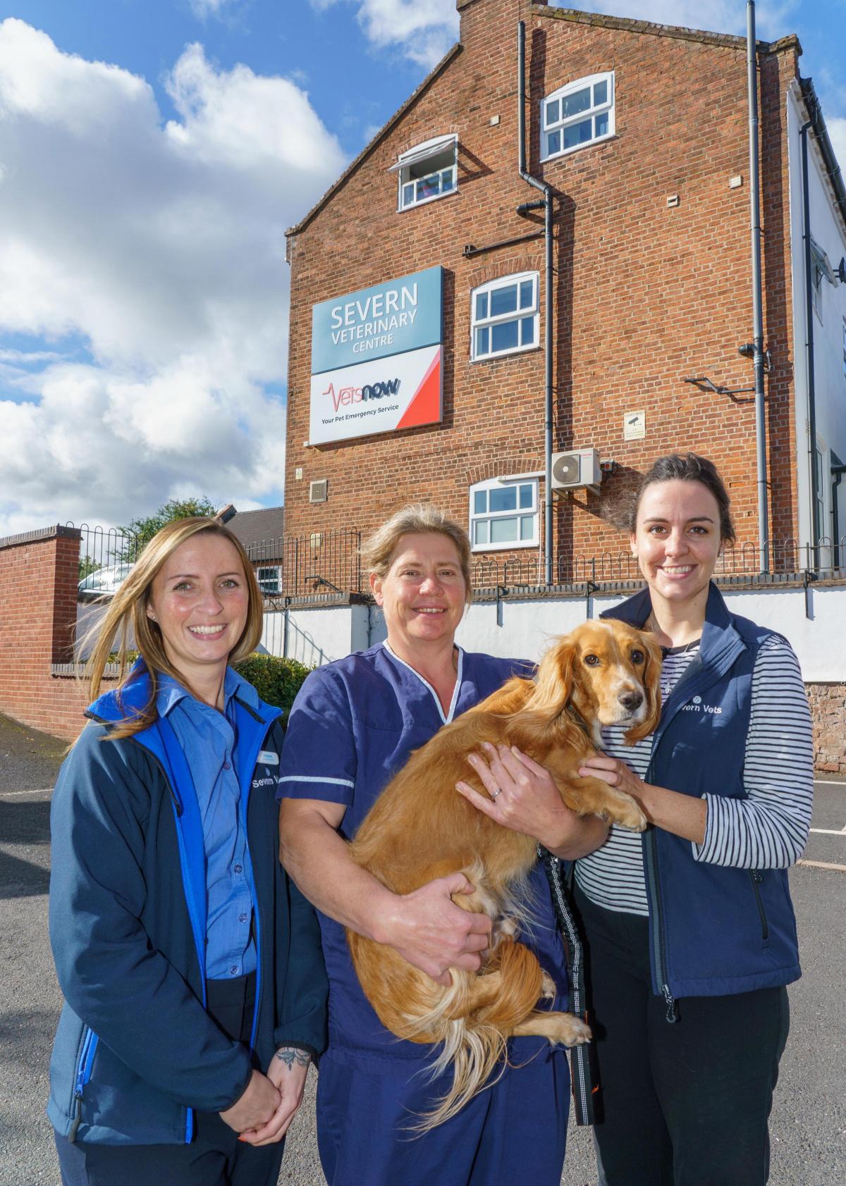 Animal hospital opens in Worcester | Worcester News