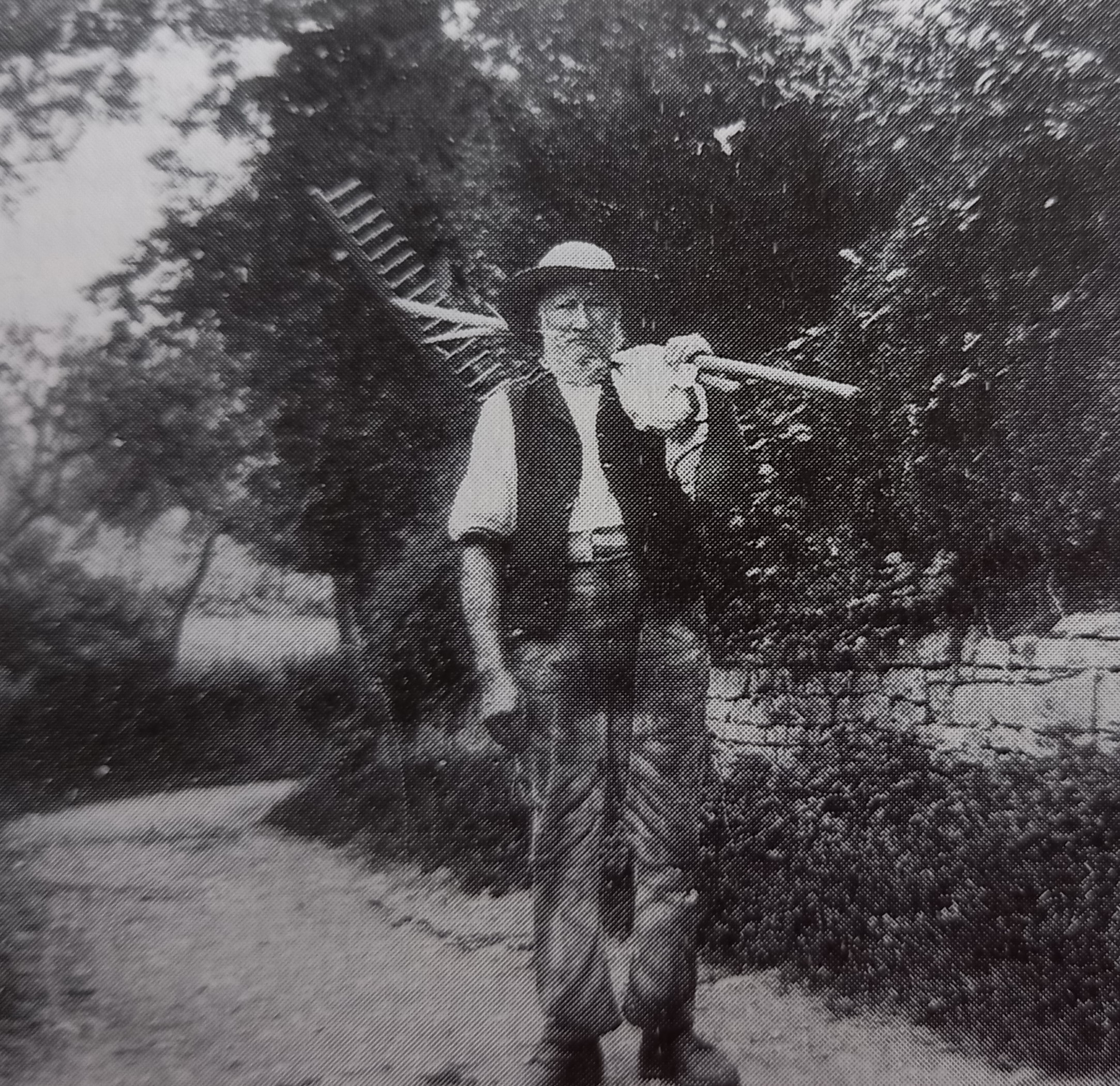 RAKISH FIGURE: An old Worcestershire farmworker carries a wooden rake in the late 1800s – looks like he’d been put in a cage to be pecked at
