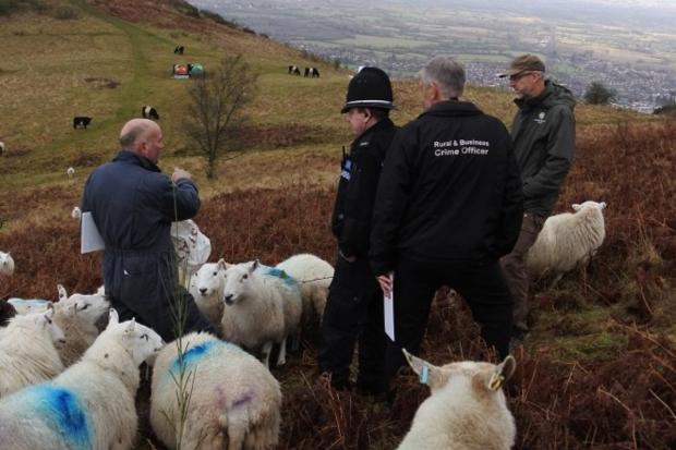 Malvern Hills Trust has issued a warning to dog walkers following a pair of sheep worrying incidents on Malvern Hills