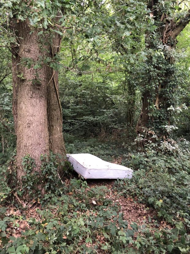 Worcester News: FLY-TIPPING: Perry Wood Local Nature Reserve in Worcester 