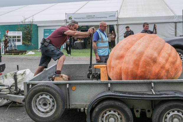 Worcester News: The Autumn Malvern Show