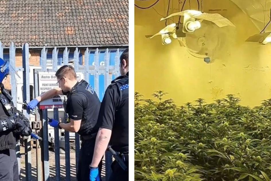 Cannabis farm found on Rushock Trading Estate near Droitwich | Worcester News 