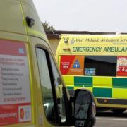 APPEAL: WMAS