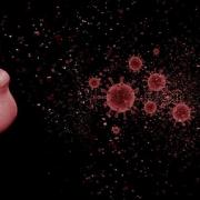 COVID: New data shows rise in coronavirus cases over Christmas