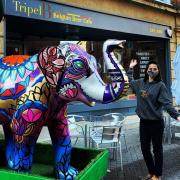TOUR: Sundar the elephant had a whistle-stop tour of Worcester on Tuesday