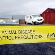 ZONES: Disease control zones have been put in place across the country. Picture: Danny Lawson/PA Wire