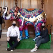 Worcester News partners with St Richard's Hospice for Big Parade elephant trail