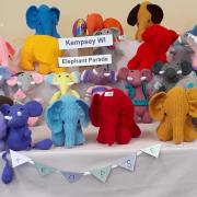 Kempsey Women’s Institute is one of many groups which have supported the parade by handcrafting. One member, Dot Martin, contributed 15 to the herd of nearly 40 elephants