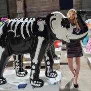 LIVE: Magnificent elephant parade sculpture trail begins in Worcester
