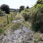 BOGGY: Councillors have criticised water run off a housing development site, making paths boggy