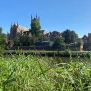 There are fears the invasive plant could reach the cathedral if it is not treated soon