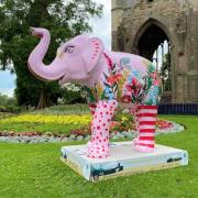 Worcester's elephants to leave the city - but you can still meet them all in one place