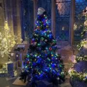 FESTIVE: Worcester Cathedral reveals dates for its popular Christmas Tree Festival 2023.