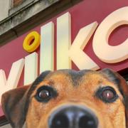 Wilko customers threaten boycott over controversial pet rule affecting UK stores. (PA/Canva)