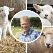 BBC Countryfile Presenter, Adam Henson is hosting a big event at the Cotswold Farm Park.