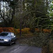 A car driving beside a fallen tree. Credit: PA