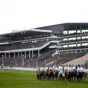 Runners and riders compete in the Randox Health County Handicap Hurdle during day four of the Cheltenham Festival at Cheltenham Racecourse. PA Photo. Picture date: Friday March 13, 2020. See PA story RACING Cheltenham. Photo credit should read: Tim