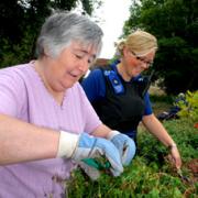 GARDEN TIDY: Ruth Davies, of Arboretum Residents Association, and Community Support Officer Kylee Berry at work. 28043902