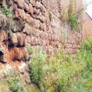 HERITAGE: The overgrown mediaeval city wall, which runs along City Walls Road in Worcester. 34488201