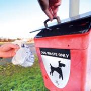 PLEASE DON’T LEAVE A MESS: Worcester has 240 dog bins, which are emptied up to three times a week. 05422001