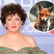 Cheeky fox filmed going into the home of ex-Radio 1 DJ Annie Mac. Picture: PA (inset Canva)