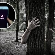 (Background) Zombie hands around trees. ( Canva) (Circle) TikTok on a phone screen. (PA)