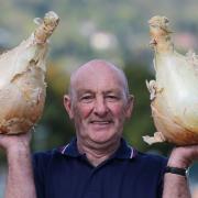 Joe Atherton with his giant onions as they arrive for measuring and weighing at Malvern Autumn Show in 2018 (Aaron Chown/PA)