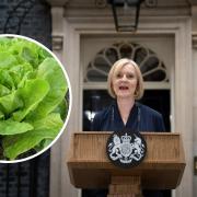 A lettuce celebrate victory as it outlasts Liz Truss after resignations