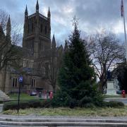 Christmas trees will be installed in Worcester later this week