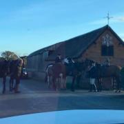 A member of the hunt was reportedly injured near Wychbold this afternoon
