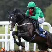 Former England cricketer Craig Kieswetter is among those hoping to win at Cheltenham Festival