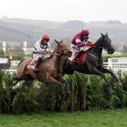 Cheltenham Festival continues today and will end on Friday, March 17