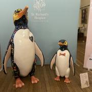 Penguin sculptures like these will form a trail around the city next year