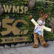 The park will also be starting their 50th anniversary celebrations this Easter.