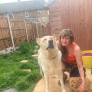 TOXIC: Jane Bamford with her dogs Wilf (left) and Gladys. Behind is 'the swamp' in he garden of her Green Lane bungalow