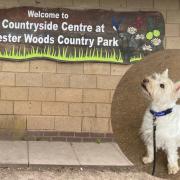 Worcester Woods Country Park: Here is everything you need to know