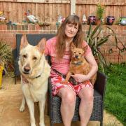 DANGER: Jane Bamford says both her dogs became violently ill which she blames on her stinking, sodden garden oozing black mud and mould