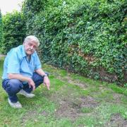 ANGER: Frank Farmer, 67, was woken up to the sound of diggers tearing up his lawn