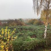 WILD: Woodmancote in Warndon has been described as a jungle but is being reclaimed by residents thanks to Sanctuary Housing