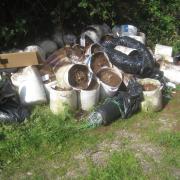 FLY-TIPPED: Cannabis plants were found on the side of a road in Kempsey.